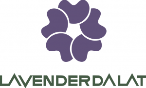 LAVENDER DALAT